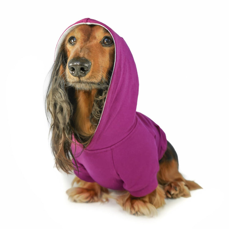DJANGO Dog Hoodie and Super Soft and Stretchy Sweater – Fully Lined with Elastic Waistband, Leash Portal, and Back Pocket (Dark Fuchsia Purple, Small) Dark Fuchsia Purple - PawsPlanet Australia