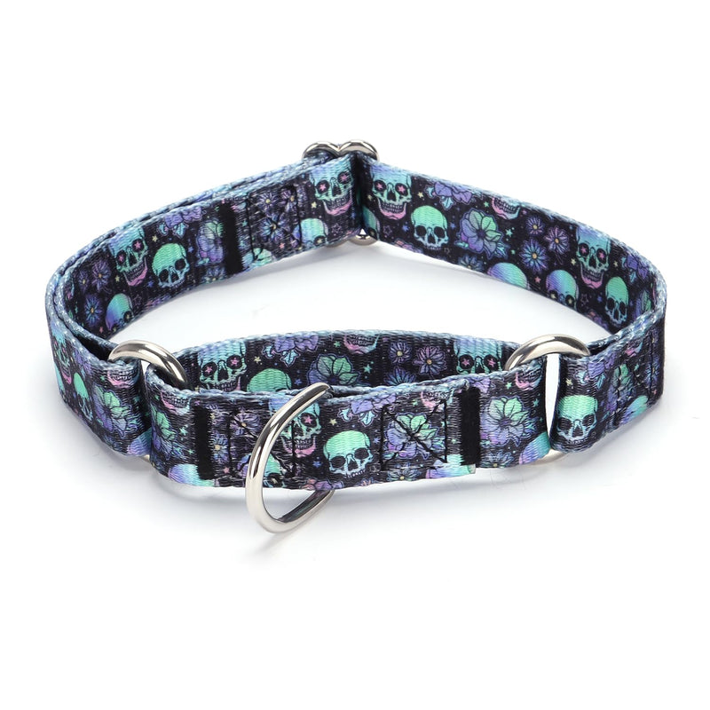 Martingale Dog Collars - Flower Multicolor Cute Patterns, Adjustable Nylon Training Dog Collar Suitable for Boy and Girl Dogs Medium Large Dogs (M, Blue2) M