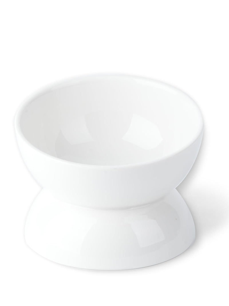 Cat Water Bowl, 16 OZ Ceramic Elevated Cat Dish, 15° Tilted and Raised Pet Food Bowl, Anti Vomiting Protect Pets' Spines and Whisker Fatigue 1 Pack White - PawsPlanet Australia
