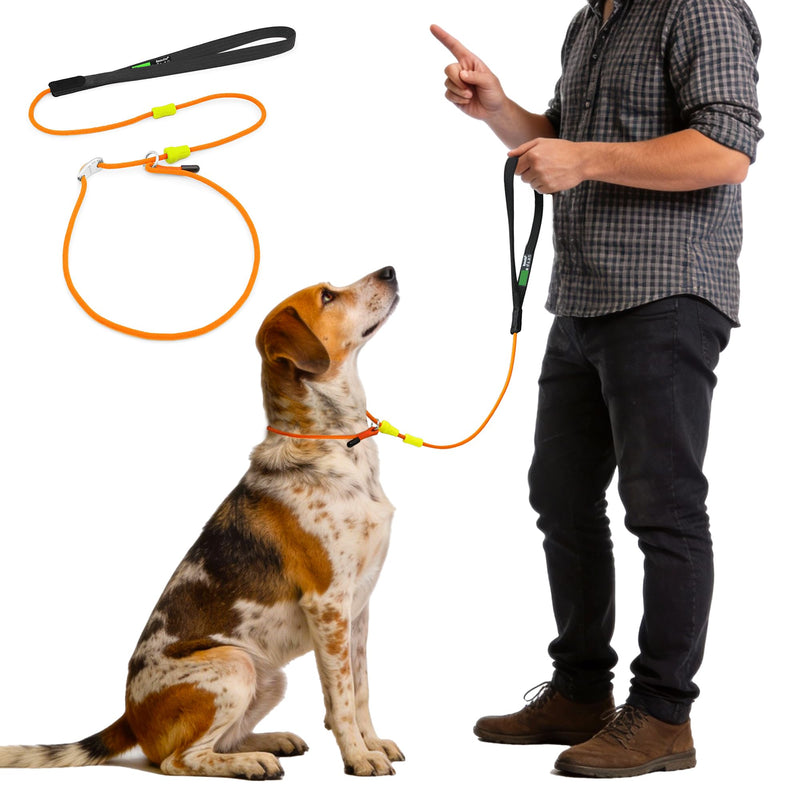 ?BeauGo| Slip Lead Dog Leash|Dog Training Leash,No Pull Training Lead,2-in-1Dog Lead & Collar,Strong Heavy Duty Braided,Professional Trainer Rope for Small Medium Large Dogs.Slip Leads for Dogs 5 FT Training(5ft*1.5M Long? ORANGE - PawsPlanet Australia
