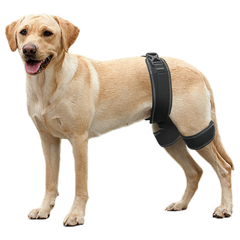 CHAMIN Dog Hip Orthotics Brace, Dog Hip Dysplasia Brace Harness, Support for Hip Dysplasia, Luxating Patella, Prevent Hip Joint Diseases and Assisted orthopedics, et(Extra Large) Extra Large - PawsPlanet Australia