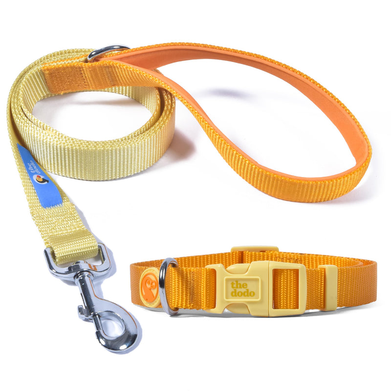 The Dodo All Nylon Yellow Collar and Leash Set - Small; Matching Cute Leash and Collar Set; Waterproof Dog Leash and Collar Set, Perfect for Beach Day or Trips to The Lake - PawsPlanet Australia