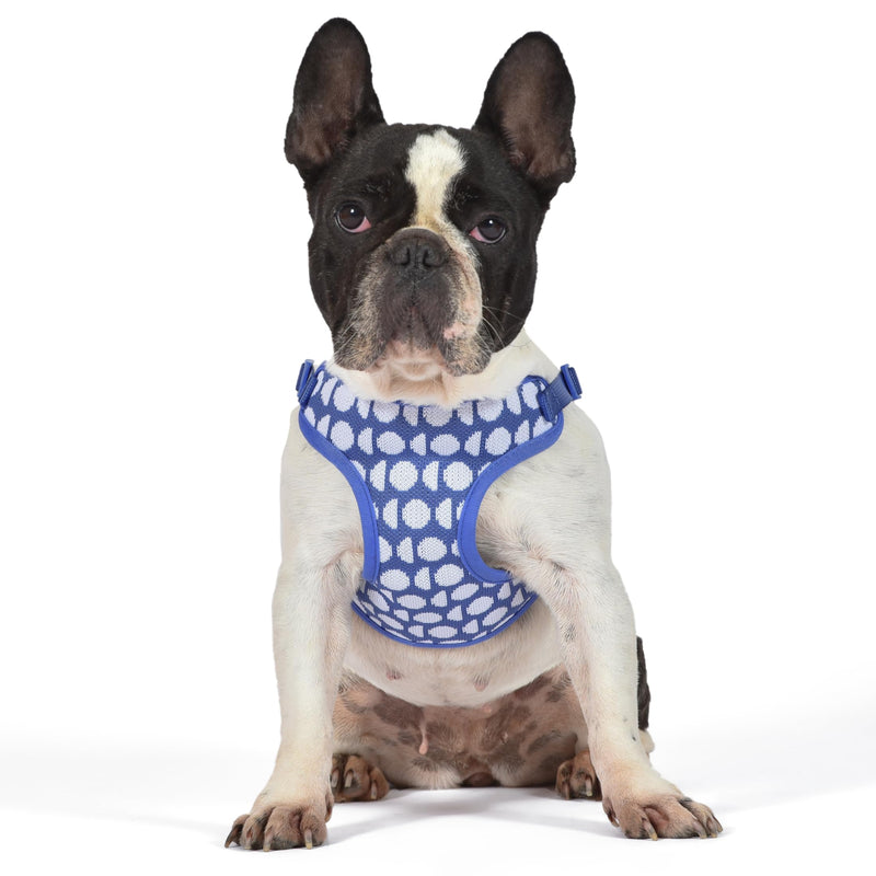 The Dodo Dog Harness, Blue Dodo Print, Size Medium; Easy Step-in Harness for Dogs; Breathable Mesh Fabric; Snap-Together, Pinch Release Buckle, Ring for Leash Attachment; Everyday Pet Apparel - PawsPlanet Australia
