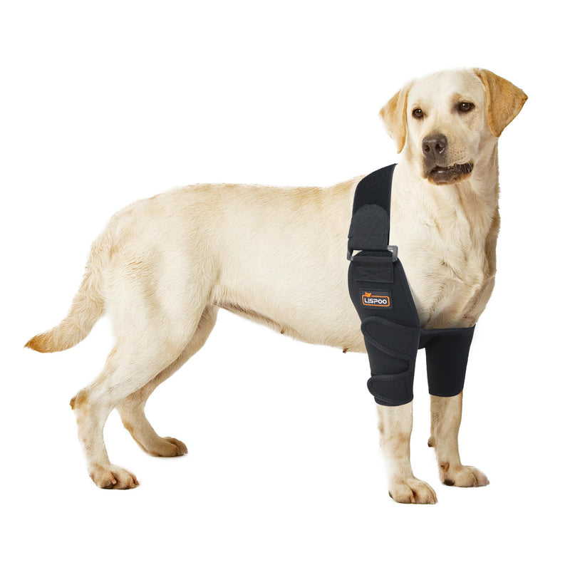 LISPOO Dog Elbow Brace Protector Pads Provides Elbow Support and Protection, Dog Elbow Dysplasia Brace for Elbow Hygroma, Arthritis, Dysplasia, Elbow Calluses, Shoulder Dislocation, Elbow Brace(XL) Both Leg XL - PawsPlanet Australia