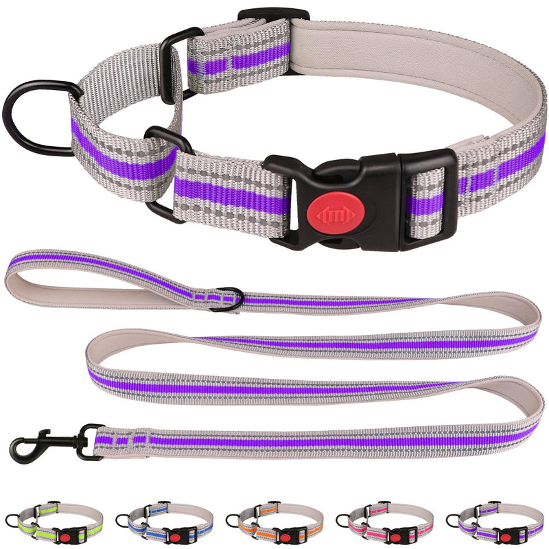 Martingale Collar for Dogs,Soft Neoprene Padded Reflective Martingale Collar and Leash Set Safety Buckle Nylon Martingale Dog Collar for Medium Dogs(Purple&M) Purple - PawsPlanet Australia