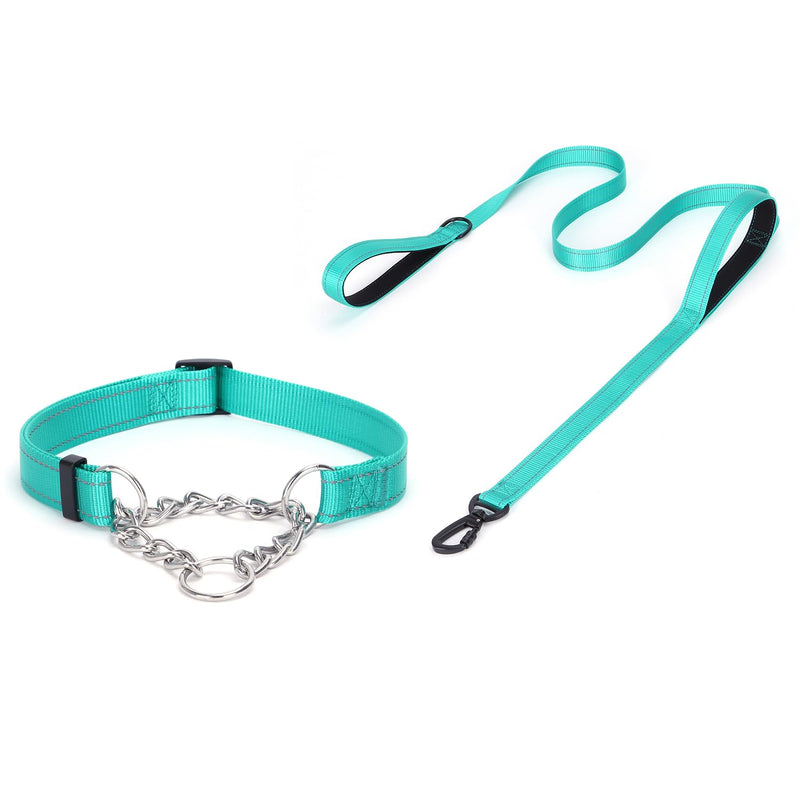 Martingale Dog Collar with Stainless Steel Chain and Leash Set, Martingale Collar with Reflective, 5FT Double Handle Dog Leash Padded, Adjustable for Medium Large Dogs (M, Teal) M - PawsPlanet Australia