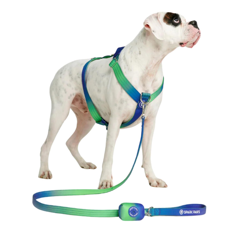 Spark Paws No Pull Dog Harness for Large Dogs, Heavy Duty Dog Harness for Big Strong Breeds, Adjustable, Y Shaped Padded Halter Design with Front Clip - Lime Wave - M Size M [50-85lbs] - PawsPlanet Australia
