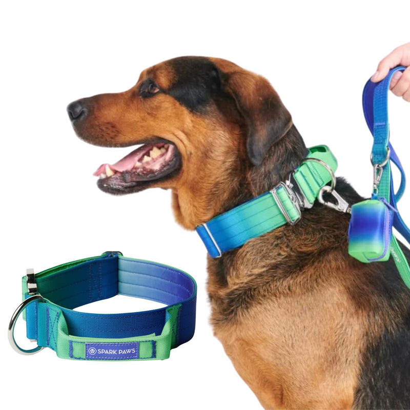 Spark Paws Tactical Dog Collar - Heavy Duty, Premium Quality, Thick and Durable for Large and Medium Dogs - Lime Wave - M M: 50-85 lbs [2" wide] - PawsPlanet Australia