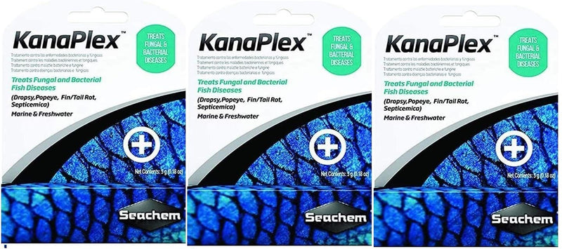 Metroplex METRONlDAZOLE Focus Kanaplex Paraguard Neoplex Sulfaplex Polyguard Garlic Guard Saltwater Freshwater Aquarium lnfection ANTlBlOTlC (3 Pack Kanaplex 5g Each) - PawsPlanet Australia