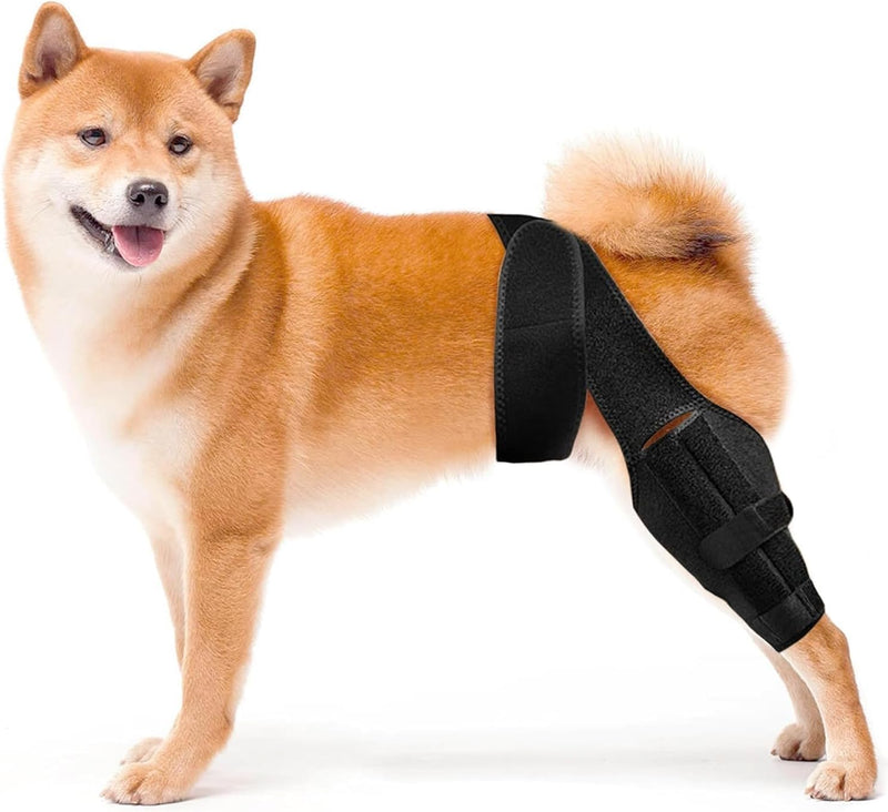 MASBRILL Dog Knee Brace, Adjustable Dog Brace Protector Pads for Back Leg, Dog ACL Hind Leg Brace Cruciate Ligament Care Knee Brace for Dogs Rear Leg, Joint Pain and Muscle Sore - PawsPlanet Australia