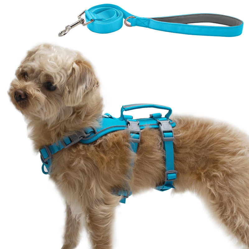 Escape Proof Dog Harness and Leash Set, Lightweight Dog Harness with Lift and Assist Handle, No Pull Reflective Pet Vest for Small Medium Dogs, Ideal for Puppy Walking and Training (Blue, S) Blue (Harness+Leash)