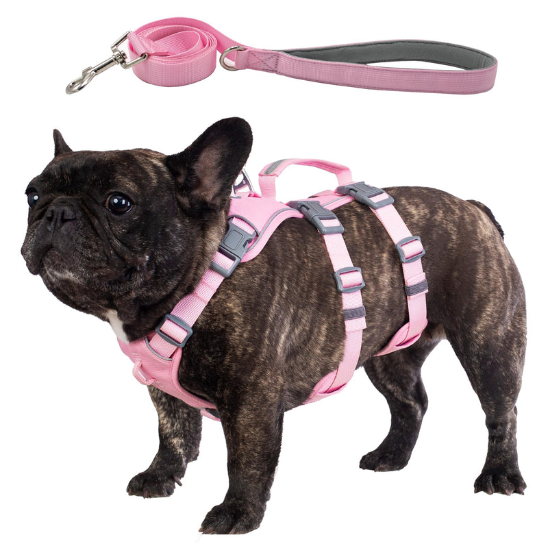 Escape Proof Dog Harness and Leash Set, Lightweight Dog Harness with Lift and Assist Handle, No Pull Reflective Pet Vest for Small Medium Dogs, Ideal for Puppy Walking and Training (Pink, M) Pink (Harness+Leash) - PawsPlanet Australia