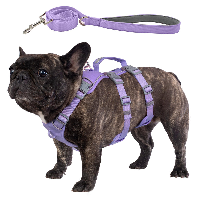 Escape Proof Dog Harness and Leash Set, Lightweight Dog Harness with Lift and Assist Handle, No Pull Reflective Pet Vest for Small Medium Dogs, Ideal for Puppy Walking and Training (Purple, M) Purple (Harness+Leash)
