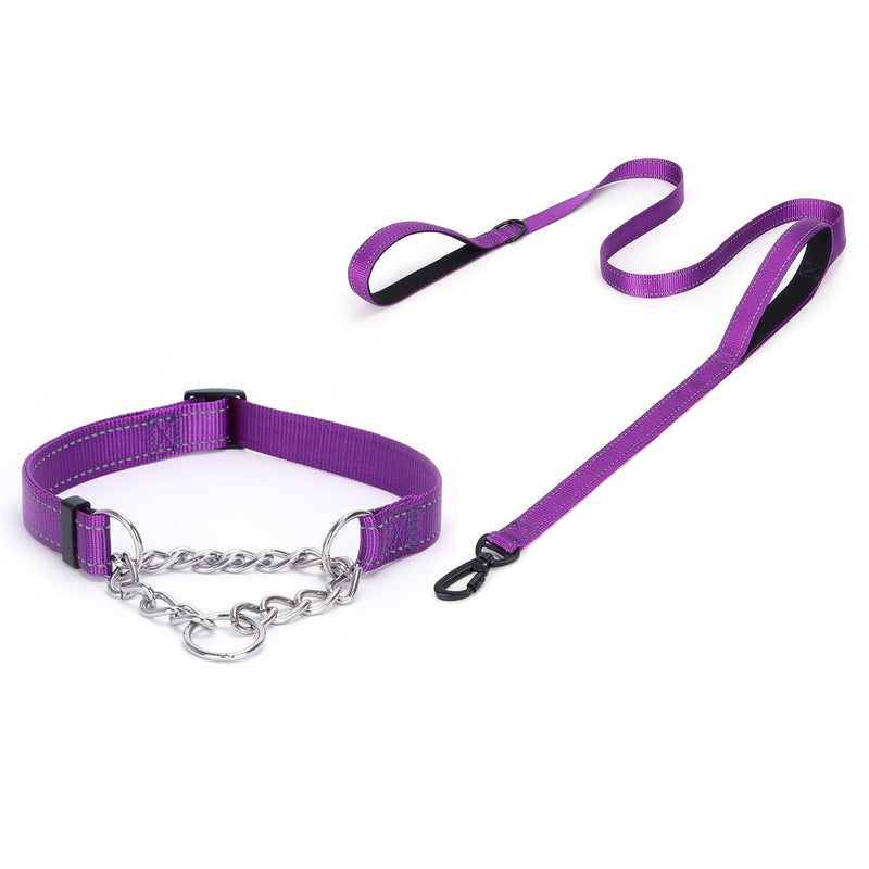 Martingale Dog Collar with Stainless Steel Chain, Martingale Collar with Reflective, Adjustable for Medium Large Dogs (L, Purple Set) L - PawsPlanet Australia
