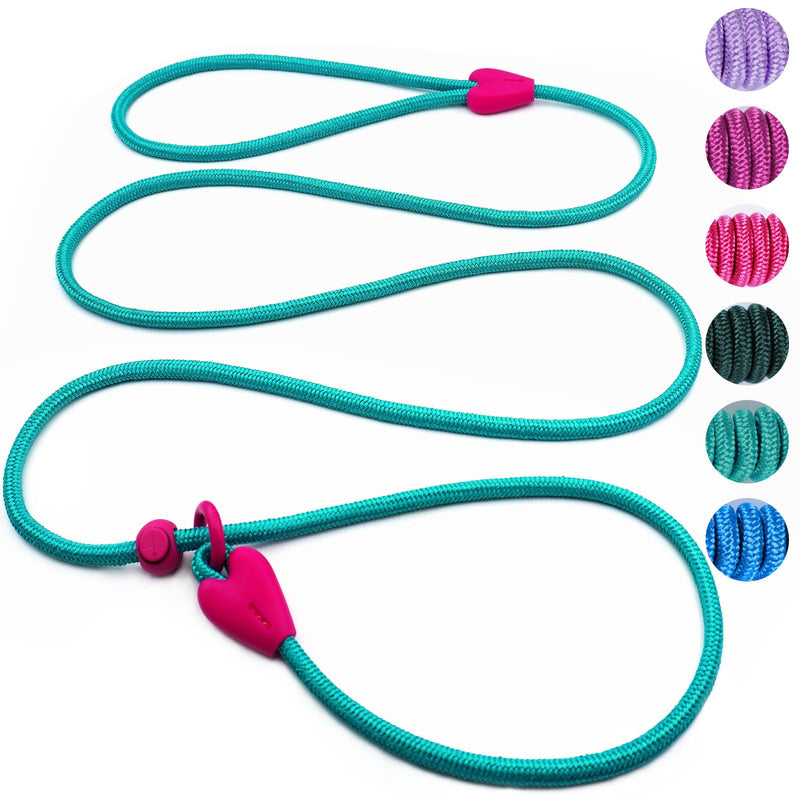 Slip Lead No Pull Dog Leash Slip Leads for Dogs Puppy Leash 6FT Slip Leash for Dogs Dog Lead with 6 Colors Strong Nylon Dog Training Leash Dog Leash (Green) Small Lake Green - PawsPlanet Australia