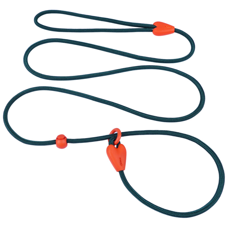 Slip Lead for Dogs Dog Leash Dog Leash for Small Medium Dogs Puppy Leash 6FT 6 Colors Strong Nylon Dog Training Leash No Pull Rope (Green) 6 FT Green - PawsPlanet Australia