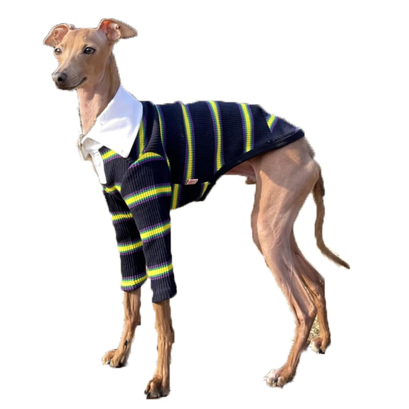 D Doggy Star Italian Greyhound Clothes Collared Stretchy T Shirts Whippet for Dogs (L,Collared Navy) Model Student T L COLLARED NAVY - PawsPlanet Australia