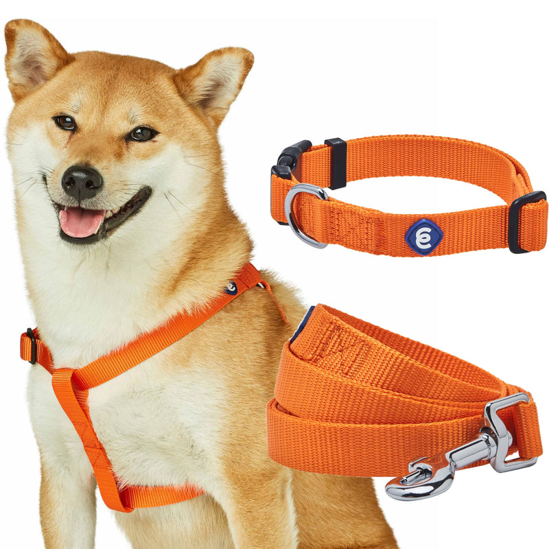 Blueberry Pet Essentials Dog Harness and Leash Set - Large Orange Vermilion Dog Collar and Leash Set for Eco-Conscious Owners, Adjustable, Durable, 4 ft Leash, Ideal for Active Pet Parents Orange Vermilion - Collar + Leash + Harness - PawsPlanet Australia