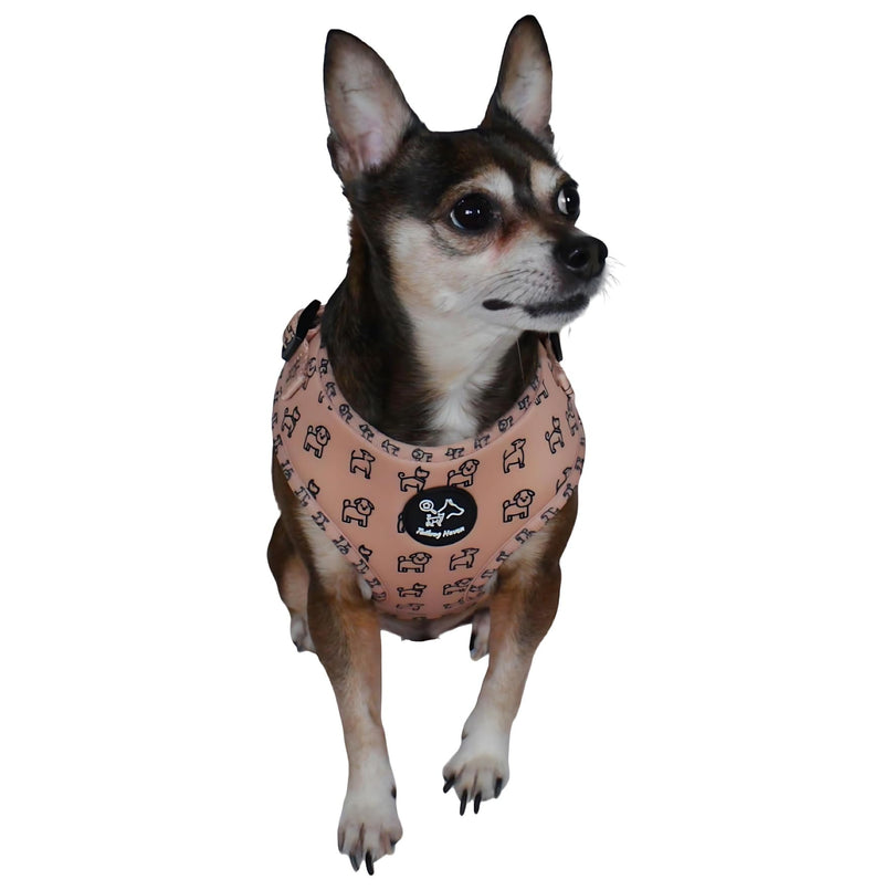 Dog Harness and Leash Set, No Pull Adjustable Soft Padded Vest, No Choke (Small, Beige Dog Pattern) Small - PawsPlanet Australia