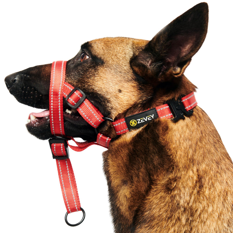 Adjustable Dog Head Halter with Safety Strap, Soft Padded Dog Head Collar for Small Medium Large Dogs, No-Pull Dog Harness for Training and Walking (Large, Red) L - PawsPlanet Australia