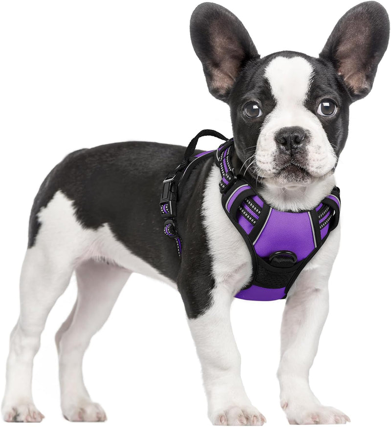 Small Dog Harness, Dog Harness Small Sized Dog, No Pull Pet Harness with 2 Leash Clips, Adjustable Soft Padded Dog Vest Harnesses, Reflective No-Choke Pet Oxford Vest Purple - PawsPlanet Australia