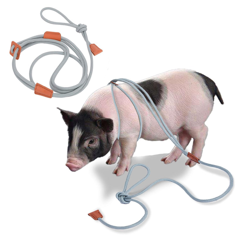 Pig Harness & Leash, Escape Prevention Adjustable Rope, All in One Design, All Life Stages Small to Medium Mini Pigs-5 Feet Long-Grey Grey - PawsPlanet Australia