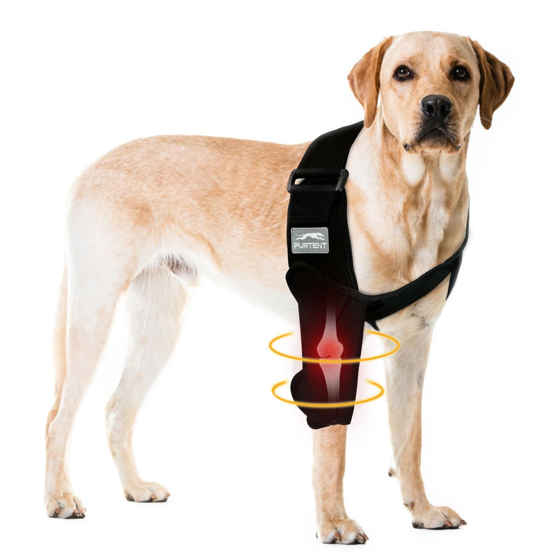 Dog Front Leg Brace for Elbow Dysplasia, Shoulder Dislocation, Hygroma, Pet Prevent Licking Wound Elbow Protector, Avoid Cone of Shame, Abrasion Resistant Dog Recovery Sleeve, M - PawsPlanet Australia