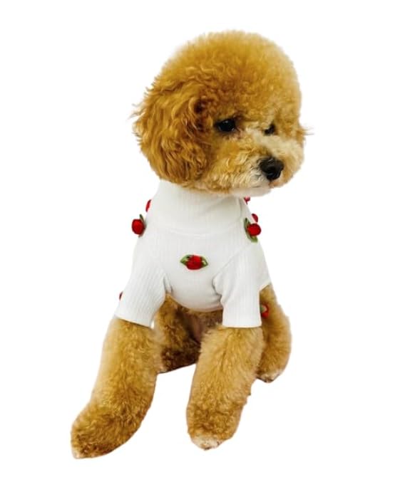 Pet Sweater with Red Roses for dog or cat (Medium) Medium - PawsPlanet Australia