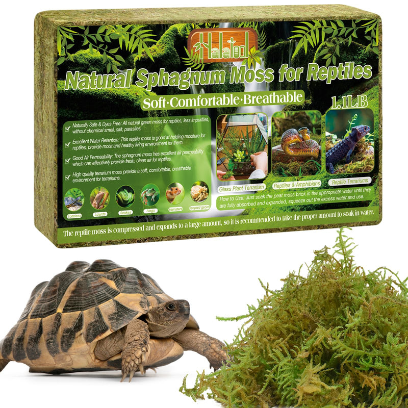 Halatool 1.1LB Natural Sphagnum Moss for Reptiles Green Live Moss for Terrarium Plants Long Fiber Reptile Moss for Leopard Gecko Snake Hamsters Tortoises Frogs Lizards Salamanders - PawsPlanet Australia