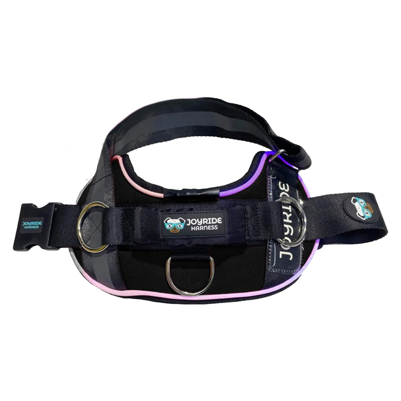 Joyride Harness LED Light Up Dog Harness 2.0 - Patent Pending Design, 3 LED Modes, Vibrant Rechargeable Lighting, Customizable Name Tag Area, and Convenient On/Off Button for Enhanced Pet Safety Black X-Small - PawsPlanet Australia