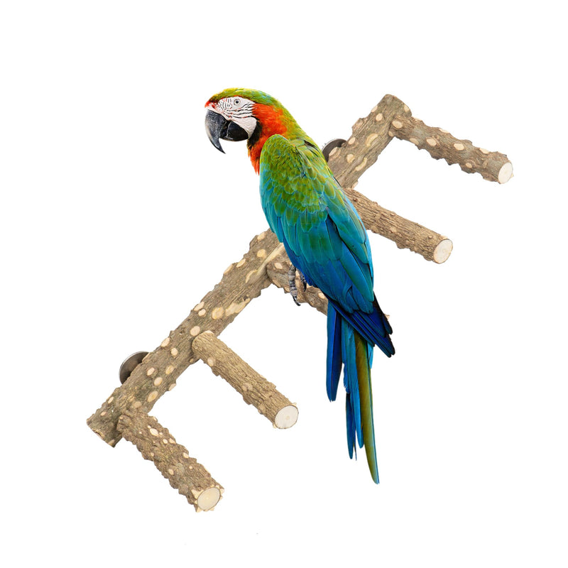 Bird Ladder Perch for Cage - Natural Wooden Bridge, Exercise Stands for Parrot Climbing - Pet Training Ladders - Hanging Playground -Toys for Parakeet, Cockatiel, Conures, Lovebirds, Budgie - PawsPlanet Australia