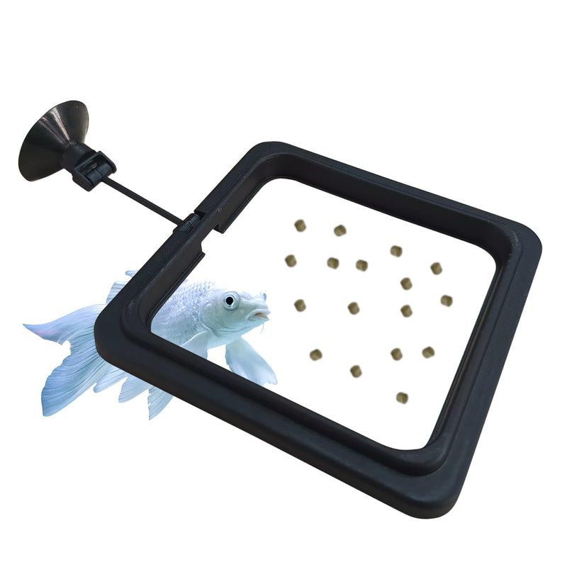 FREESEA Fish Feeding Ring for Aquarium: Square Betta Floating Feeding Ring for Fish tank - PawsPlanet Australia