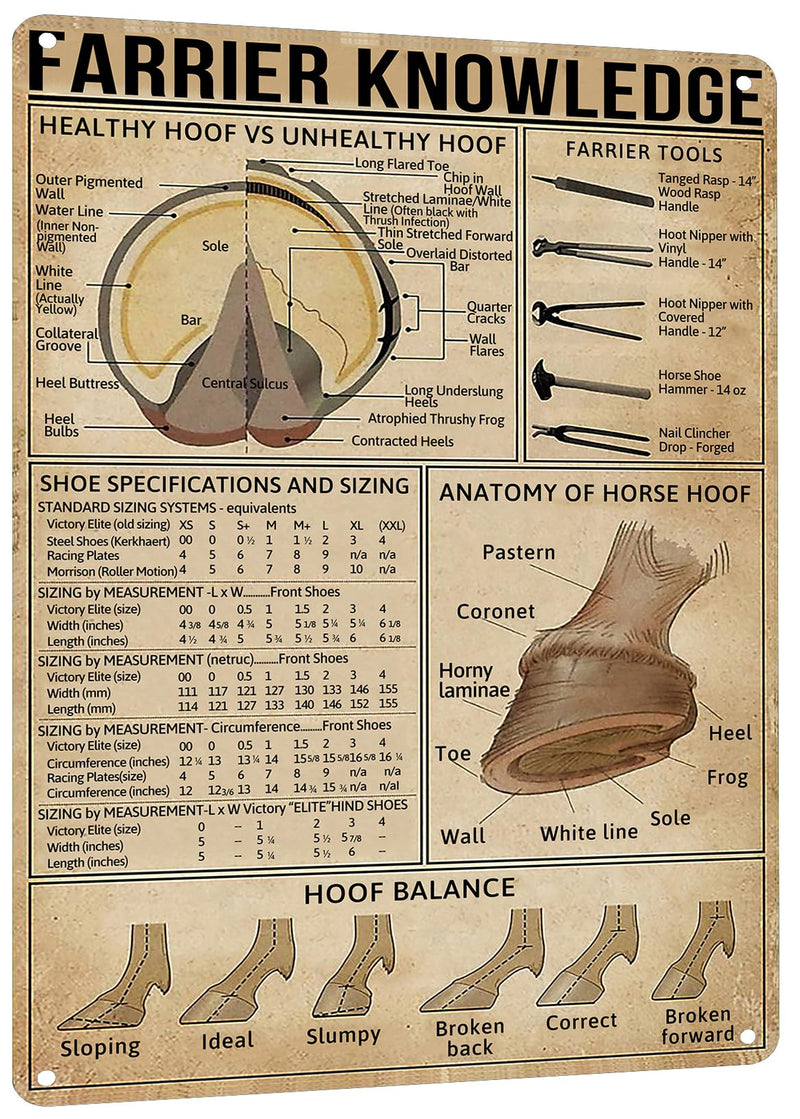 Farrier Knowledge Horse Hoof Anatomy Tin Sign - Educational Retro Metal Poster for Horse Lovers, Cowboy, Home, School, Farm, and Club Wall Decor, 12x16 Inches - PawsPlanet Australia