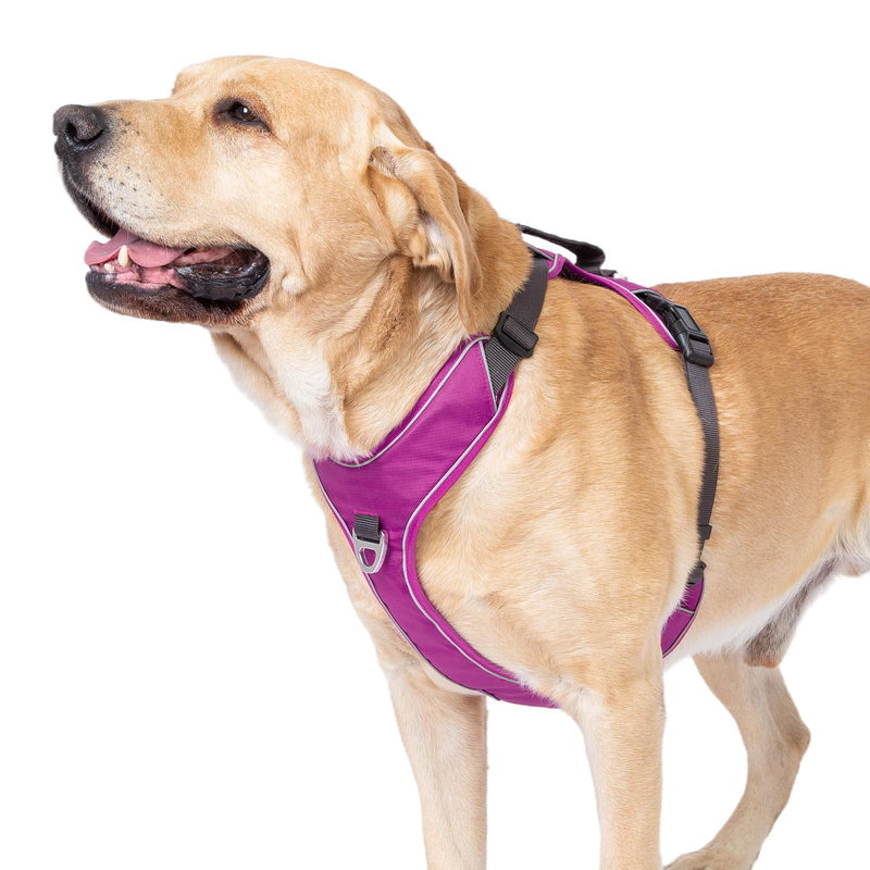 No Pull Dog Harness with Back Control Handle for Large Dogs, Reflective Vest, Adjustable and Padded, Easy Walk Front/Back Clips (Purple, X-Large) Purple - PawsPlanet Australia