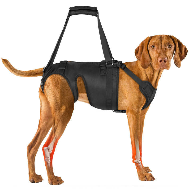 Dog Lift Harness for Large Dogs, Dog Sling for Large Dogs Hind Legs, Dog Back Legs Support Harness Lifting with Handles Dog Hip Support Brace Help for Arthritis Weak Legs Injuries Mobility - PawsPlanet Australia