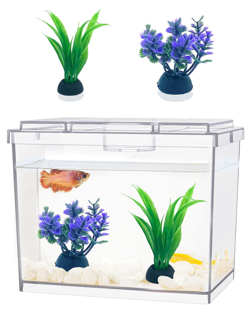 Mini Betta Fish Tank, Small Fish Bowl for Temporary Space, 0.2 Gallon Stackable Cube Tank with Artificial Plants and Gravels for Small Fish, Insect, Shrimp, Crab, Spider. (Pack-1) MiniTank 02 - PawsPlanet Australia