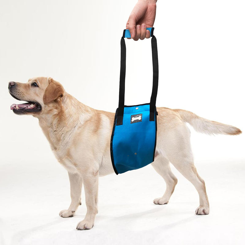 Dog Sling for Large Dogs Hind Leg Support, Dog Lift Harness with Handle for Lifting Back Legs for Weak Rear Legs, Soft Hind Leg Helps Senior, Injured, Disabled & After ACL Surgery (Blue, XL) Blue - PawsPlanet Australia