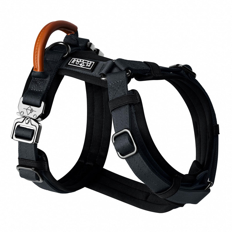 Premium Explorer Harness - Y-Shaped Dog Harness with Adjustable Durable Nylon, Soft Padding, Metal Buckles and Leather Handle for Small, Medium, Large Dogs (New York Afterlight, Size 4) New York Afterlight - PawsPlanet Australia