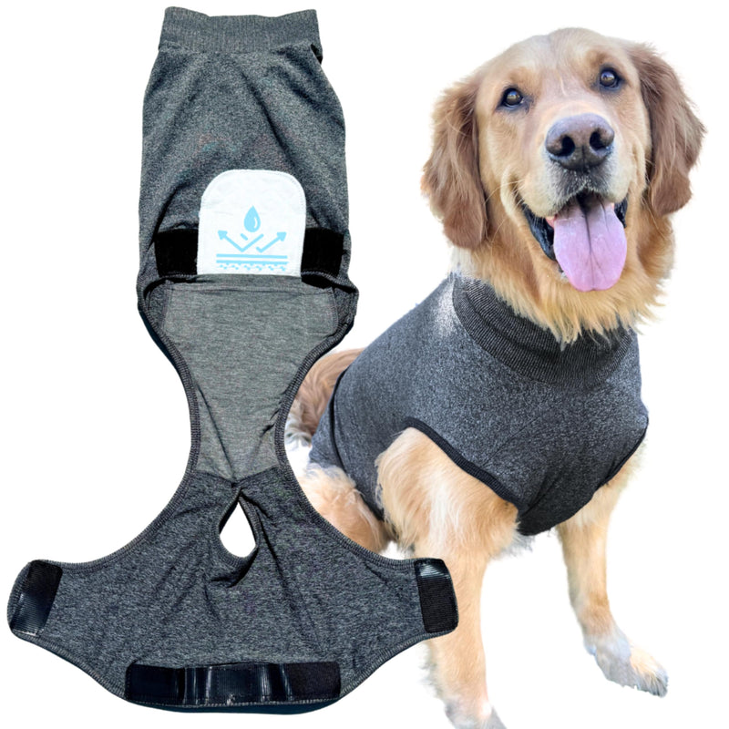 Dog Recovery Suit After Surgery – Body Suit for Female Spay & Male Neuter with Washable Pads, Post-Surgery Onesie for Dogs, Large (Grey) - PawsPlanet Australia