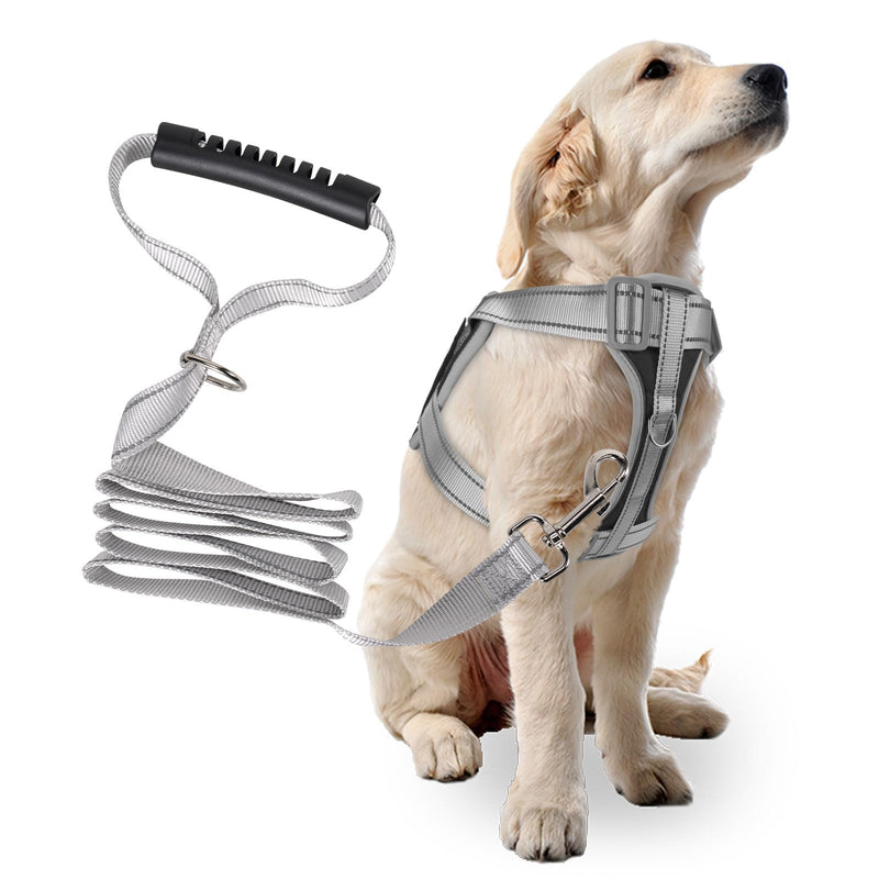 Heavy Duty No-Pull Dog Harness and Leash Set for Large Dogs - Reflective Adjustable Training Vest with Handle, Oxford Fabric, Easy Control (Black, Size L) BLACK - L - PawsPlanet Australia