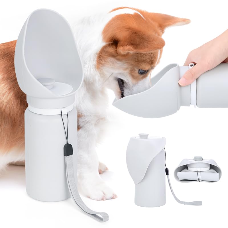 Dog Water Bottle,19oz Foldable Leak Proof Portable Dog Water Bottle, Dispenser Drinking Bowl,Dogs, for Walking Dog Water Dispenser with Drinking Feeder for Pets Outdoor,Hiking,Travel - PawsPlanet Australia