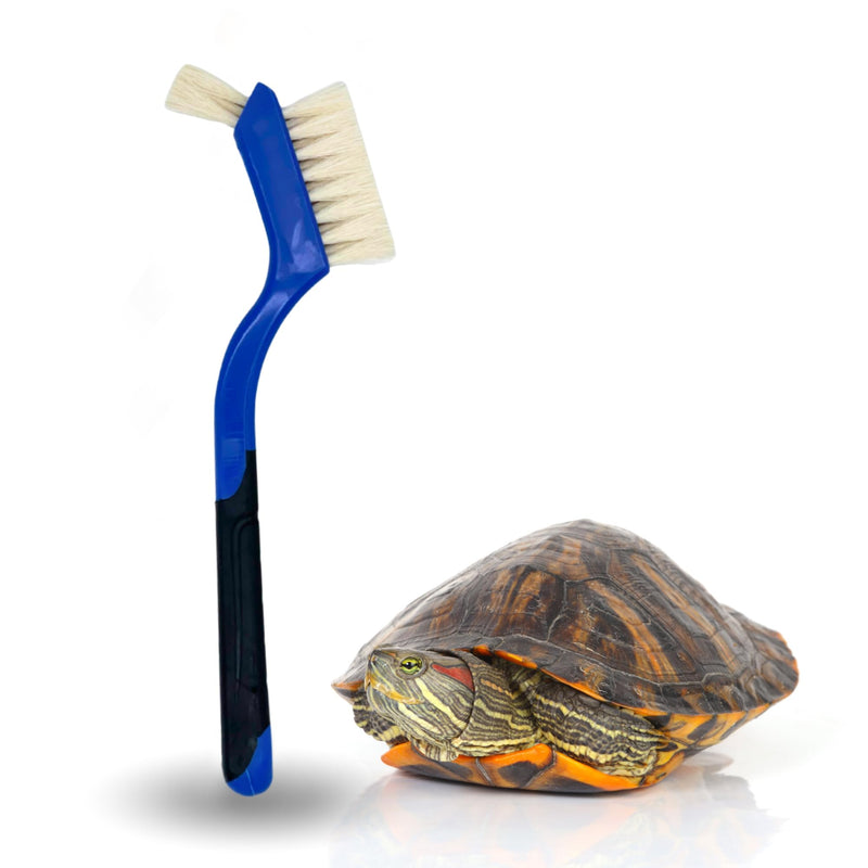 Turtle Cleaning Brush - Gently Remove Dirt from Turtles and Tortoises - Blue by Snout and Shell - PawsPlanet Australia