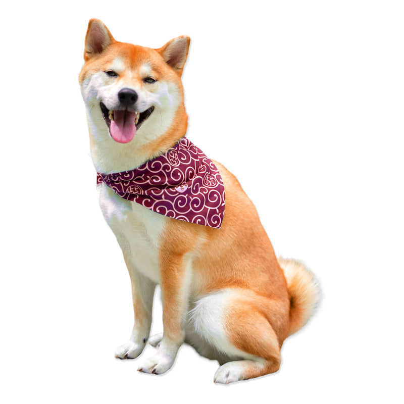 Shiba Inu Dog Karakusa Bandana Large with Kawaii Shibaken Logos & Shiba Kanji Logos Comfortable, Washable, and Stretchy Pet Scarf Size One-Sided Print (Red) Red - PawsPlanet Australia