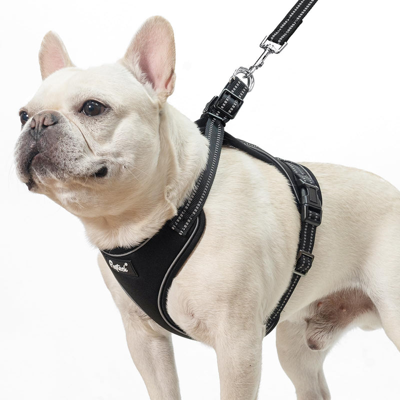 PUPTECK Dog Harness and Leash Set Small Sized, Adjustable Reflective Escape Proof Puppy Vest, No Pull Walking Harness Easy Control S (6-14lb, NECK 15", CHEST 14"-17") Black - PawsPlanet Australia
