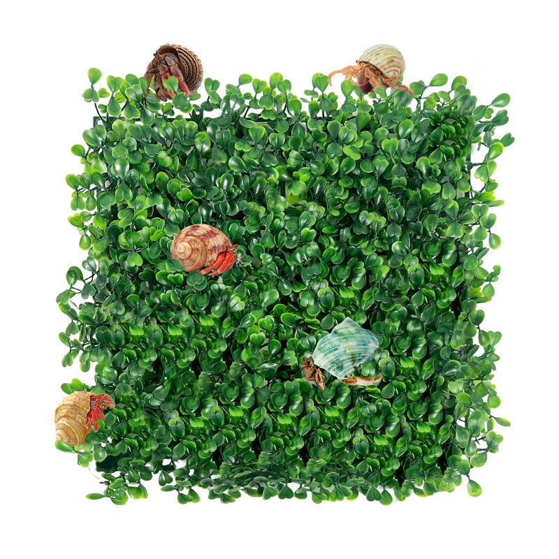 Rainmae Hermit Crab Climbing Toys, Faux Grass Mat Fake Turf Hermit Crab Climbing Wall, Plastic Aquarium Plants Lawn Hermit Crab Supplies Climbing and Hide Toy for Gecko Reptile Lizard 10 x 10 Inch - PawsPlanet Australia