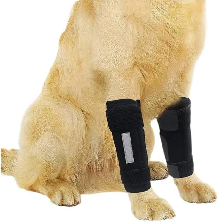Dog Leg Brace Front Wrist or Carpal Support for Canine Dogs, Brace Compression Wraps with Metal Splints, Prevents Ankle Injuries&Sprains, Helps with Loss of Stability Caused by Arthritis S/M - PawsPlanet Australia