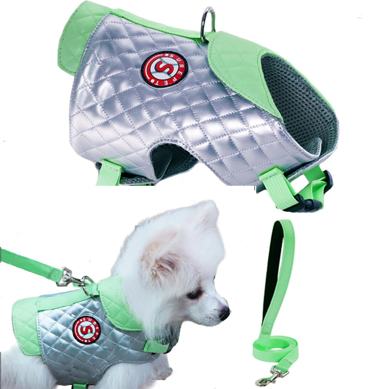 Dog Harness for Small Medium Dogs, No Pull Adjustable Puppy Harness and Leash Set Waterproof & Dirt-Resistant, Breathable Padded Vest Harness for Puppy Grey - PawsPlanet Australia
