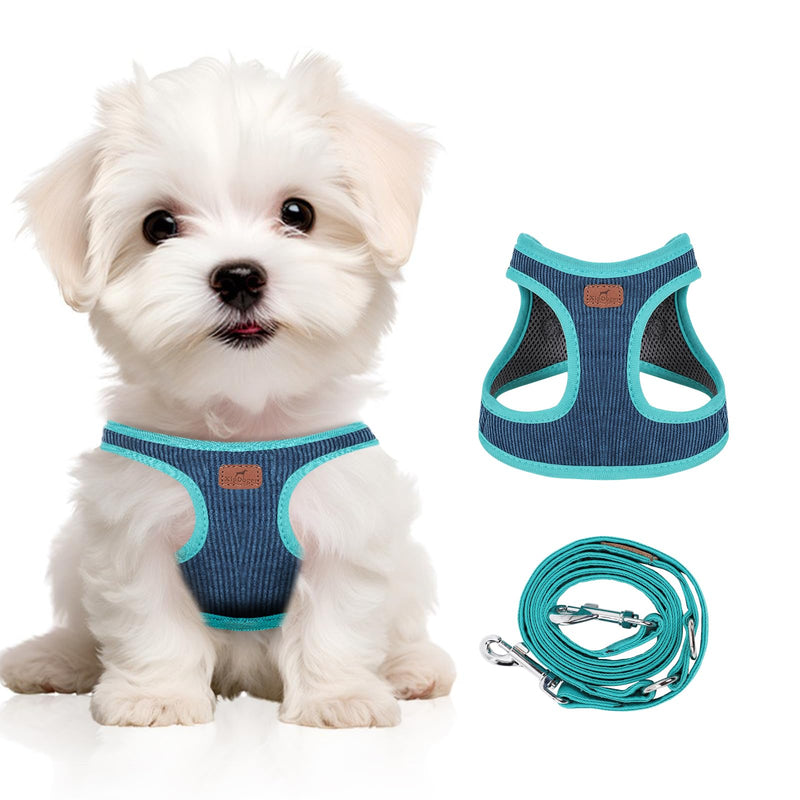 Dog Harness with Multifunction Dog Leash,No Pull Reflective Step-in Harness for Soft Adjustable No Choke Escape Proof,Easy Walk Dog Harness for Puppy,Small Dogs (Blue&Green, XXS) XX-Small Blue&Green - PawsPlanet Australia