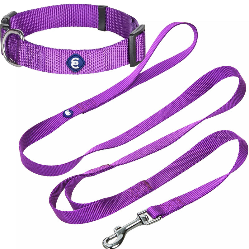 Blueberry Pet Essentials Matching Dog Collar and Double Handle Leash Set in Dark Orchid, Adjustable Classic Solid Color Nylon Collar with 5 ft Leash for Medium Dogs Dark Orchid - Collar + Double Handle Leash - PawsPlanet Australia
