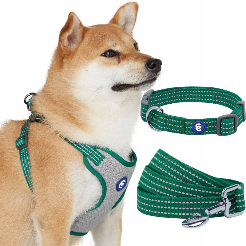 Blueberry Pet Essentials Reflective Better Basics Matching Dog Collar Leash Harness Set in Dark Green, Adjustable Collar with Harness & 5 ft Leash for Small Dogs Dark Green - Collar + Leash + Harness - PawsPlanet Australia
